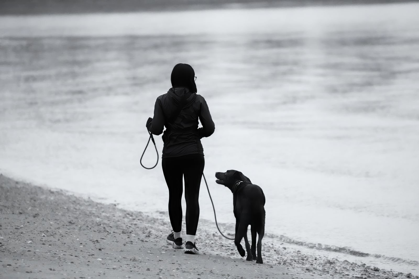 Dog Park Visits and Supervision