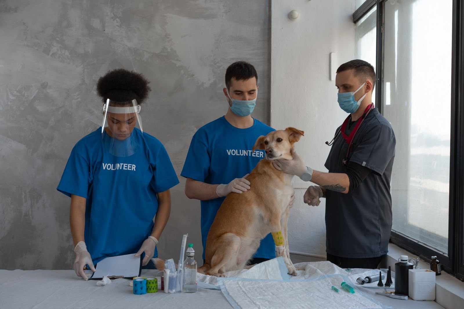 Blood Transfusion and Banking
