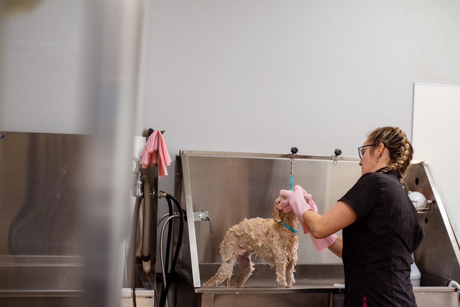 Anti-Tick Medicated Shampoo Treatment
