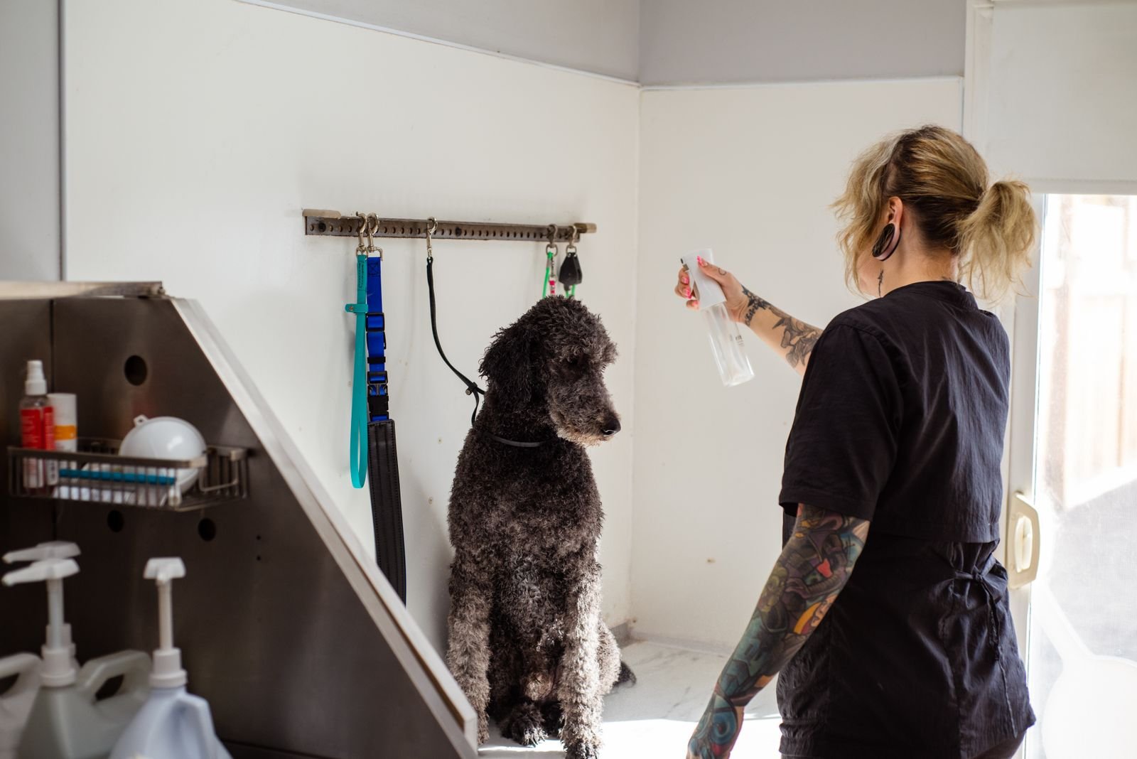 Herbal Flea Repellent Spray