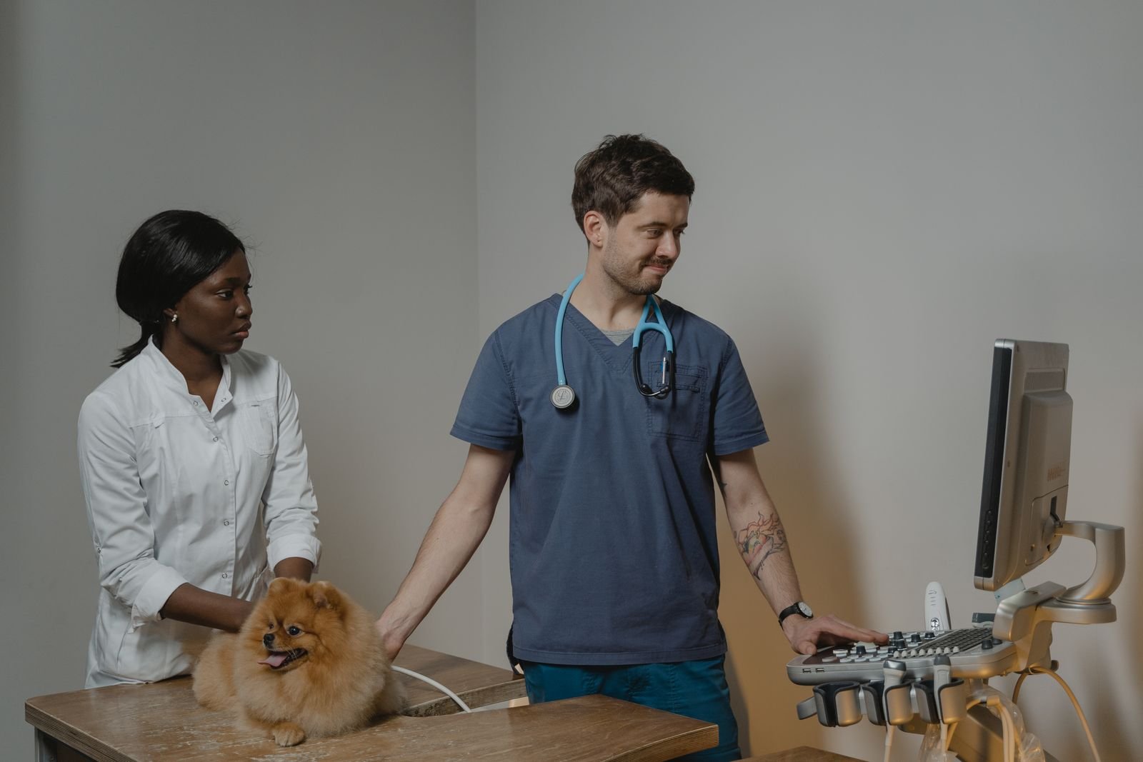 Mobile Pet Grooming Services in Mahalaxmi Mumbai