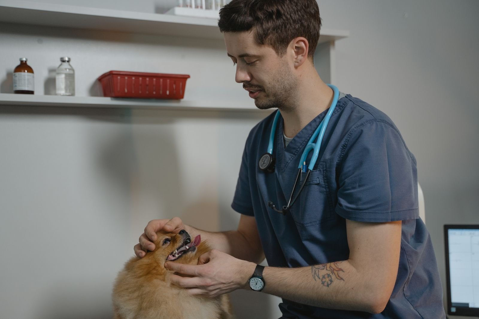 Mobile Pet Vaccination Home Service Mumbai