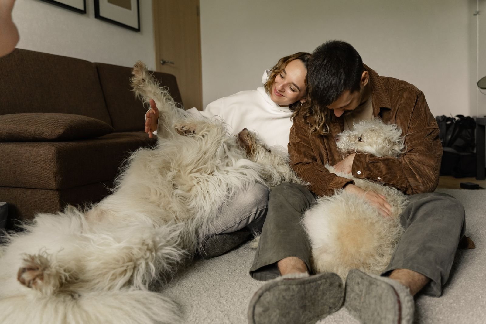 Senior Pet Care