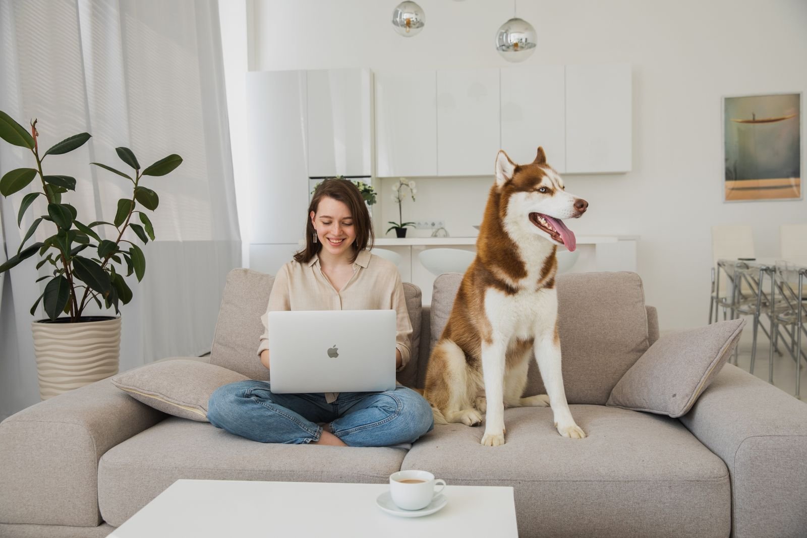 Pet Grooming at Home