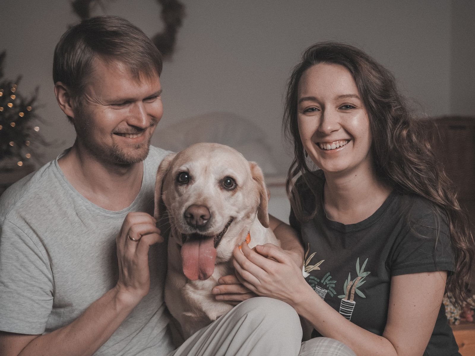 Pet Boarding and Quarantine services in New Delhi