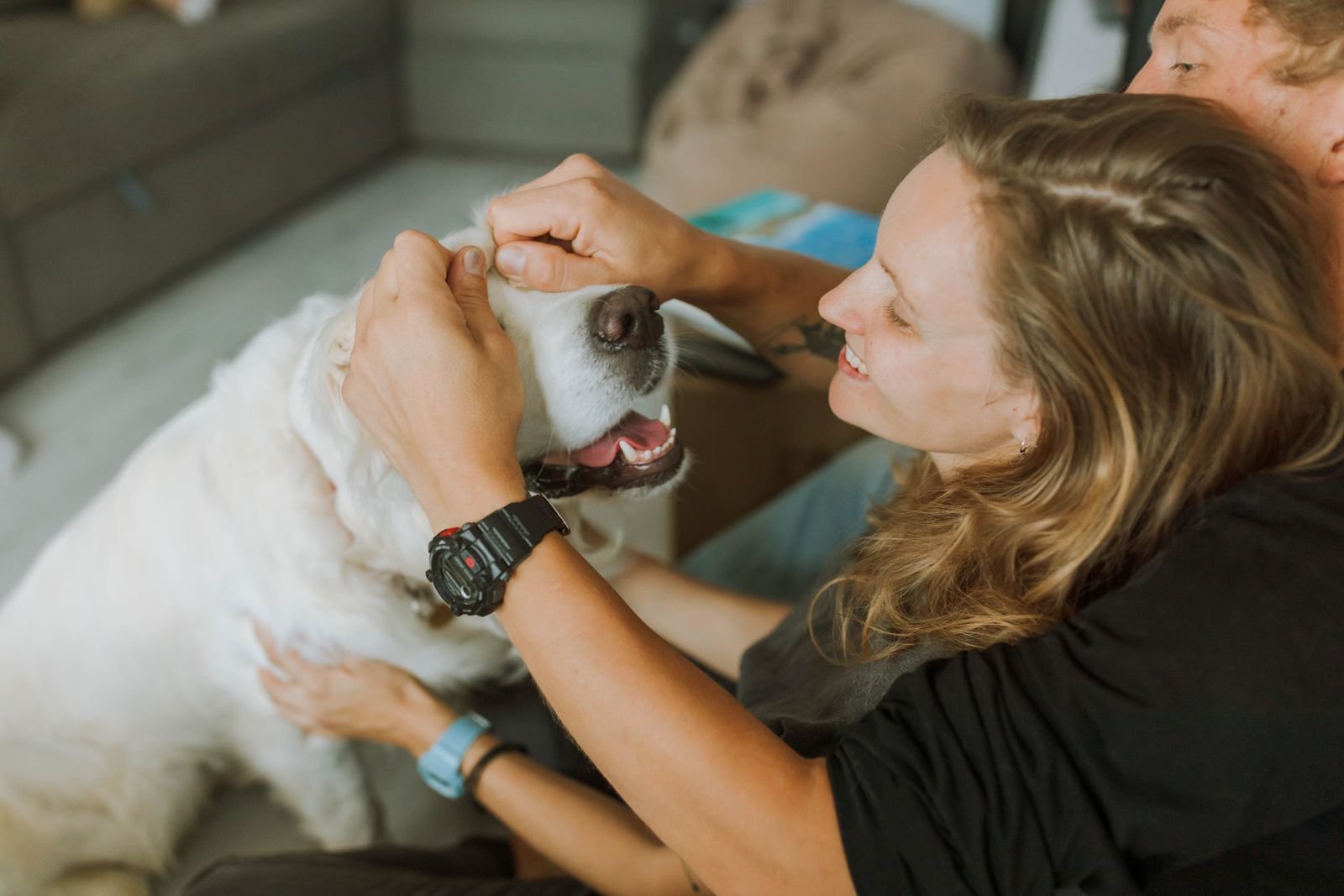 Customs Clearance for Pet Relocation - Import permit assistance