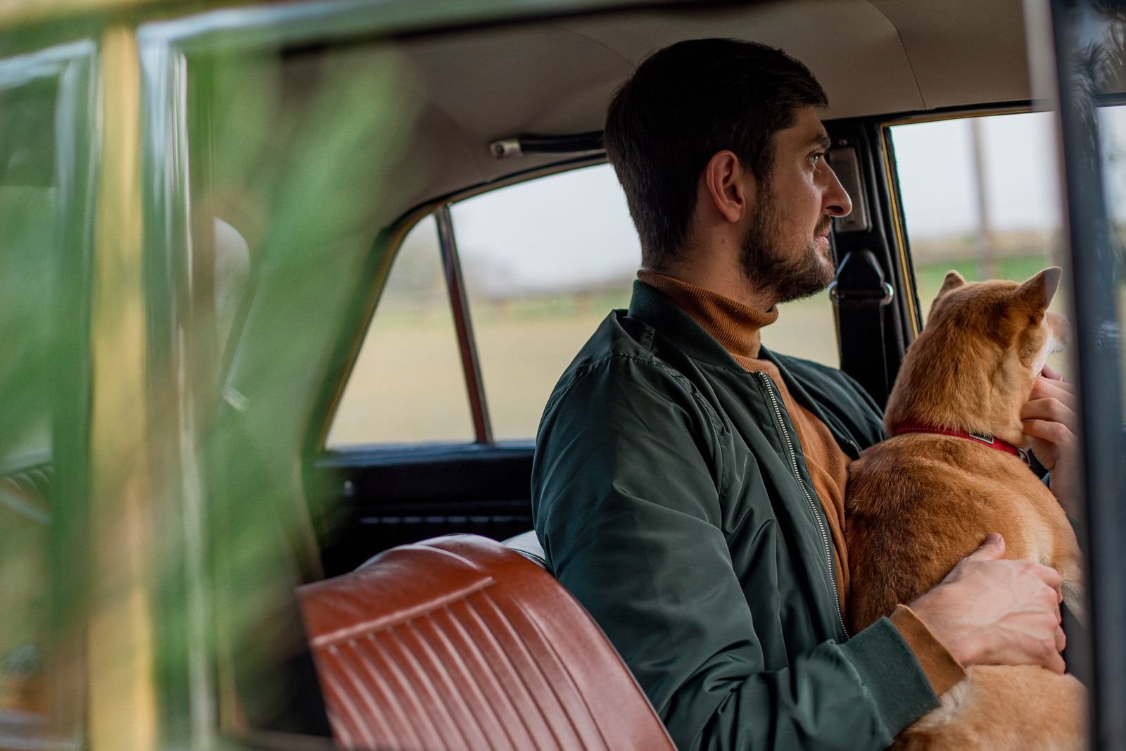 Long Distance Pet Relocation in Firozabad - Safe Pet Transport