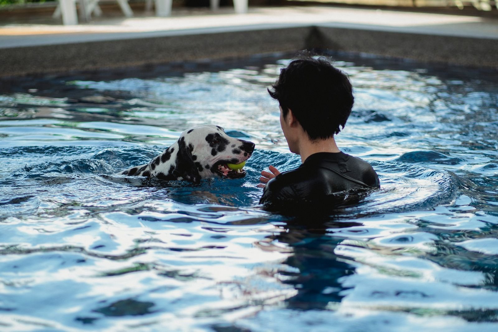 Luxury Pet Resort in Nagercoil - Premium Suite