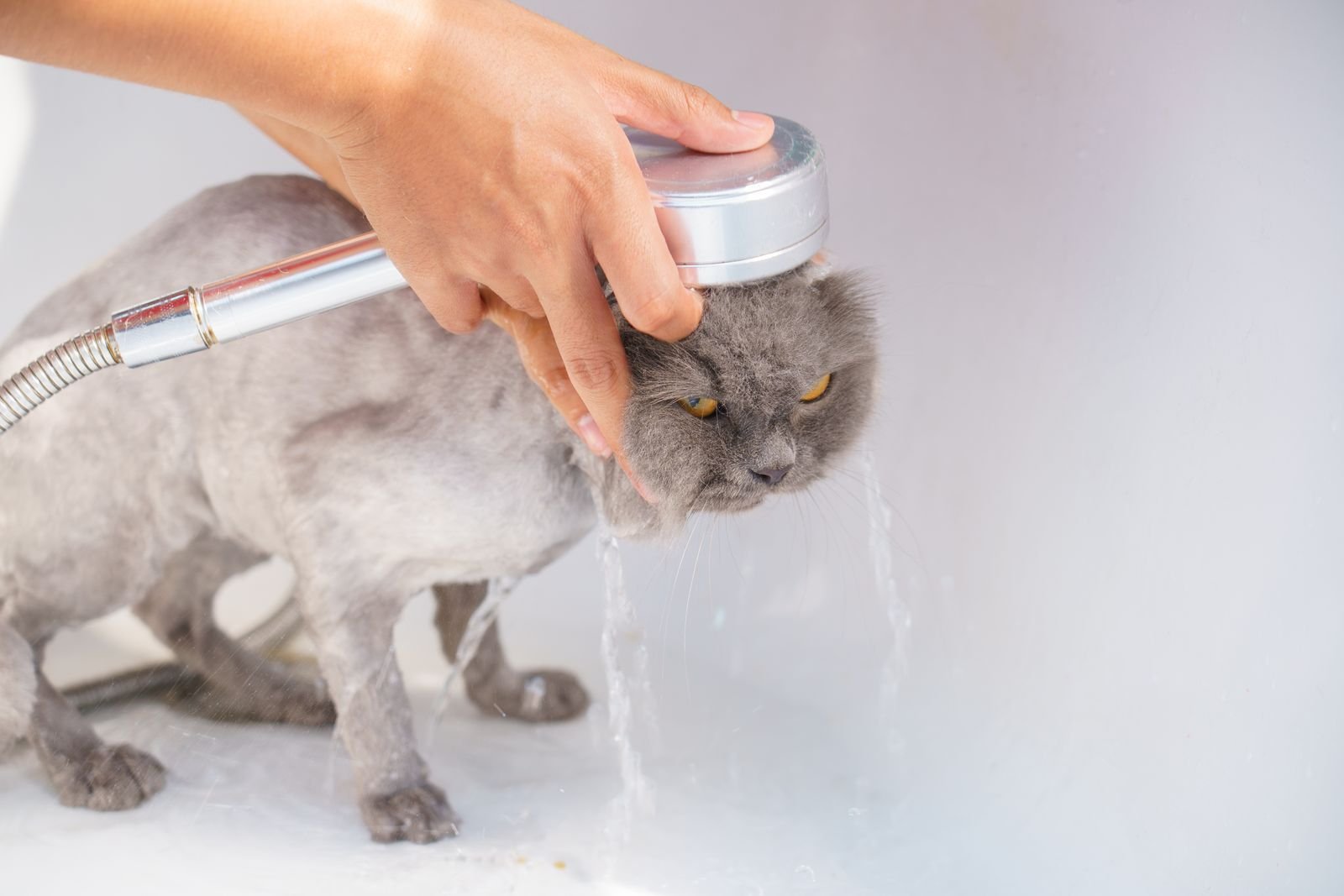 Anti-Bacterial Skin Treatment Bath