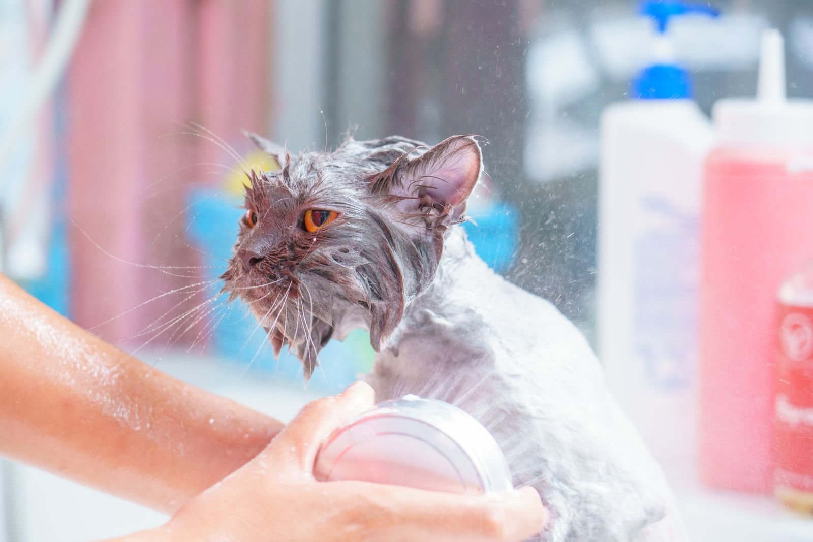 Anti-Tick and Flea Medicated Bath