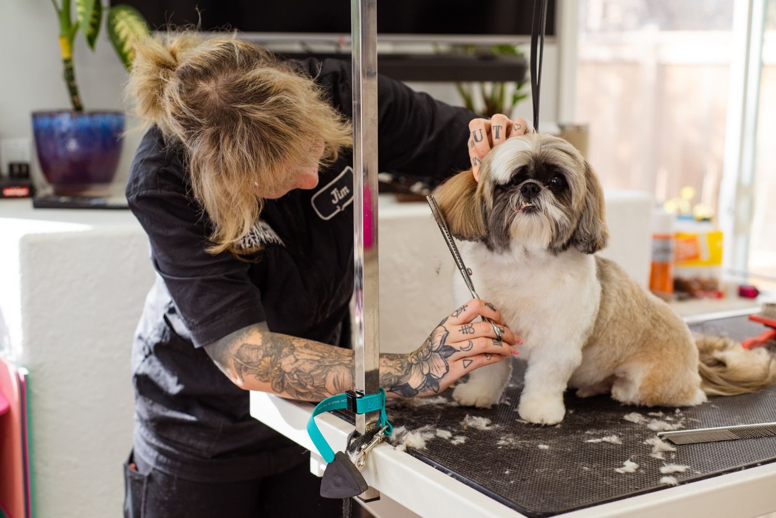 Pet Spa & Relaxing Massage