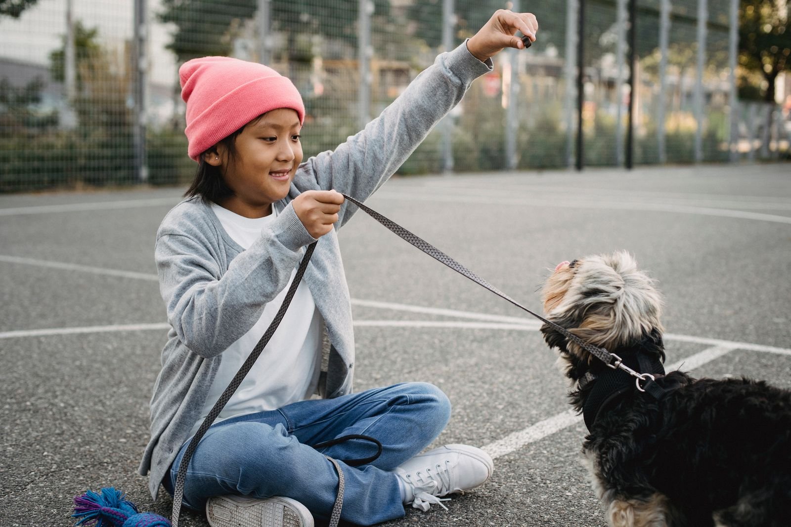 Advanced Obedience Mastery