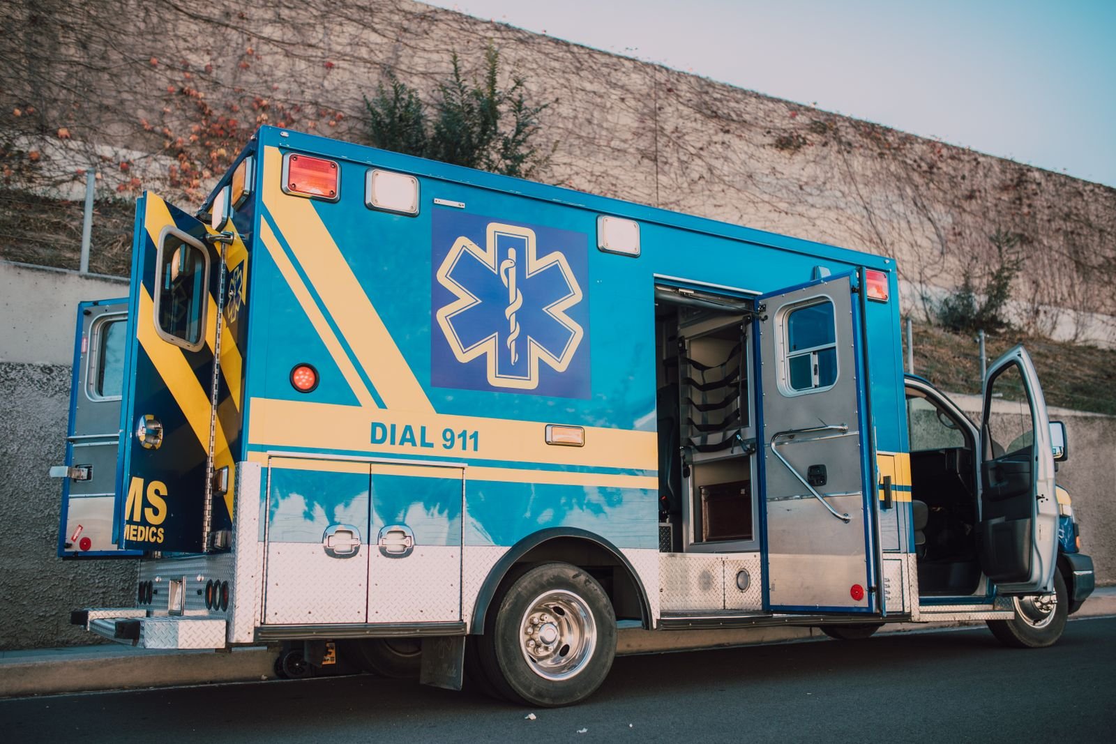 Veterinary Ambulance