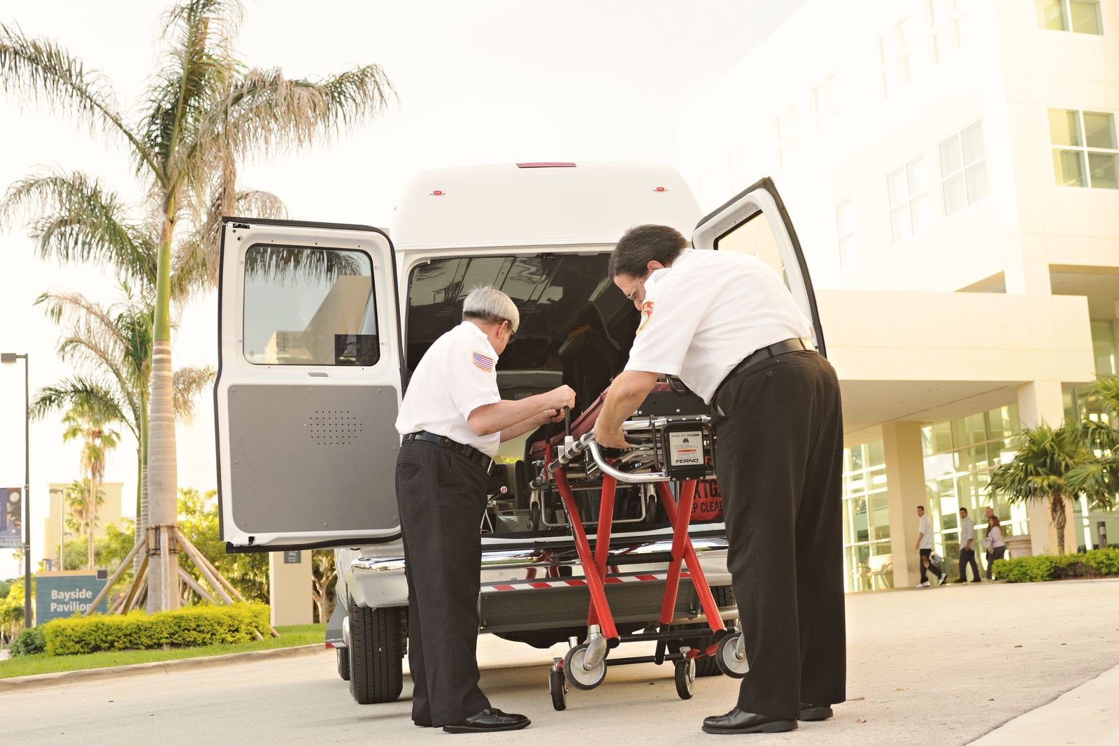 Neonatal Pet Transport