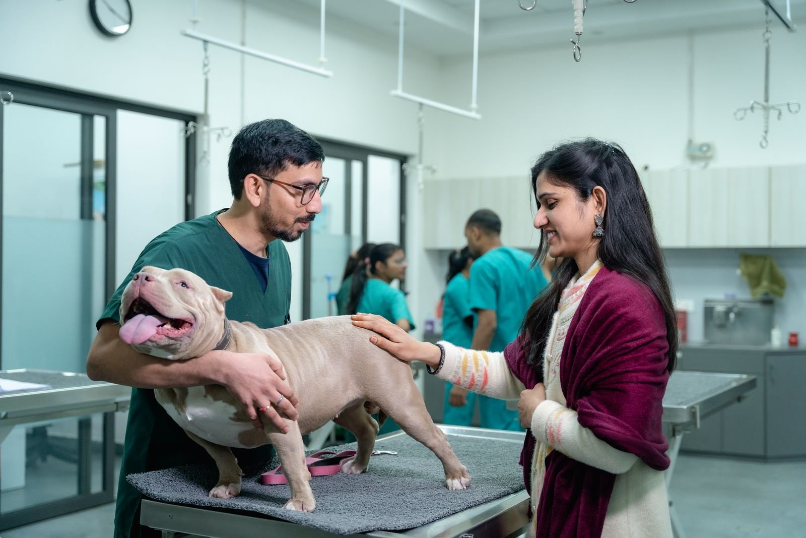 Special Needs Pet Care