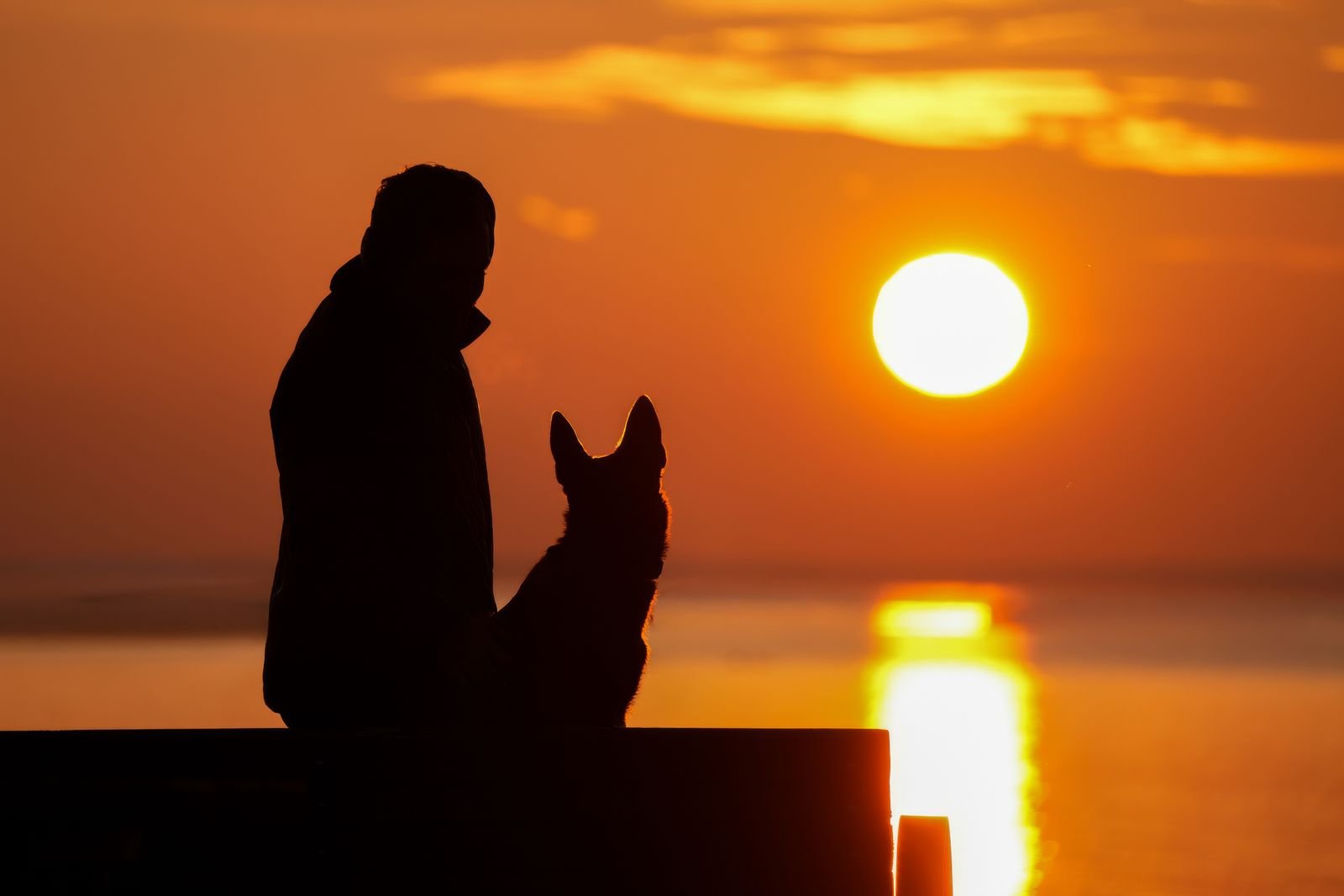 Individual pet cremation service in Sinnar Maharashtra