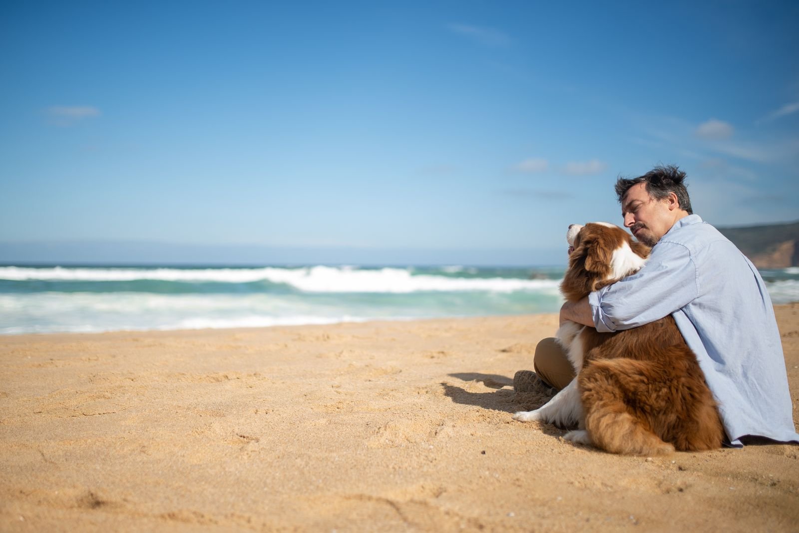 Video 1