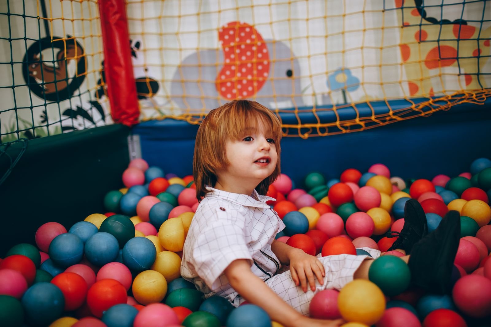 Pet Birthday Parties Nigdi Pune