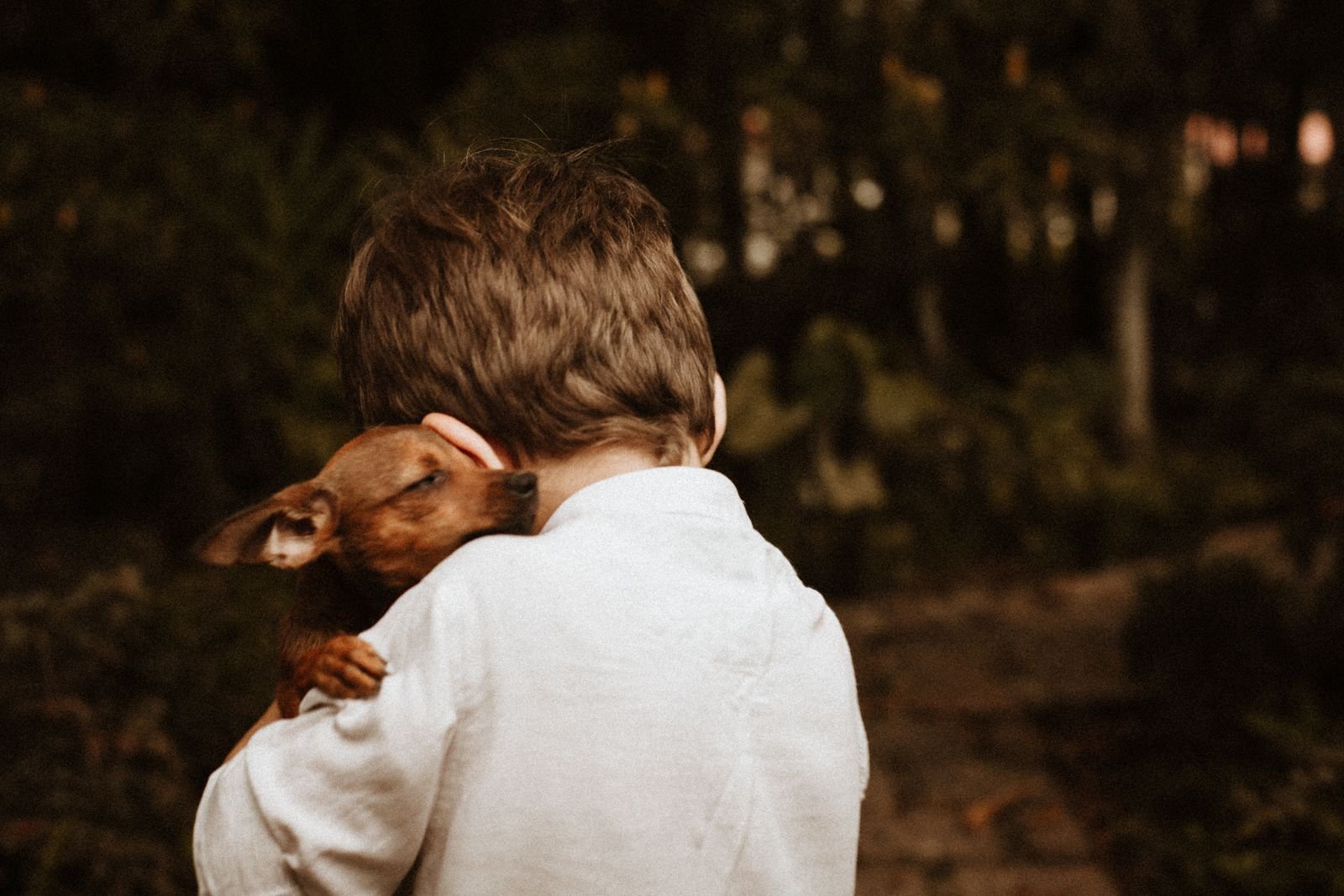 Dignified Pet Cremation Services in Bhagalpur