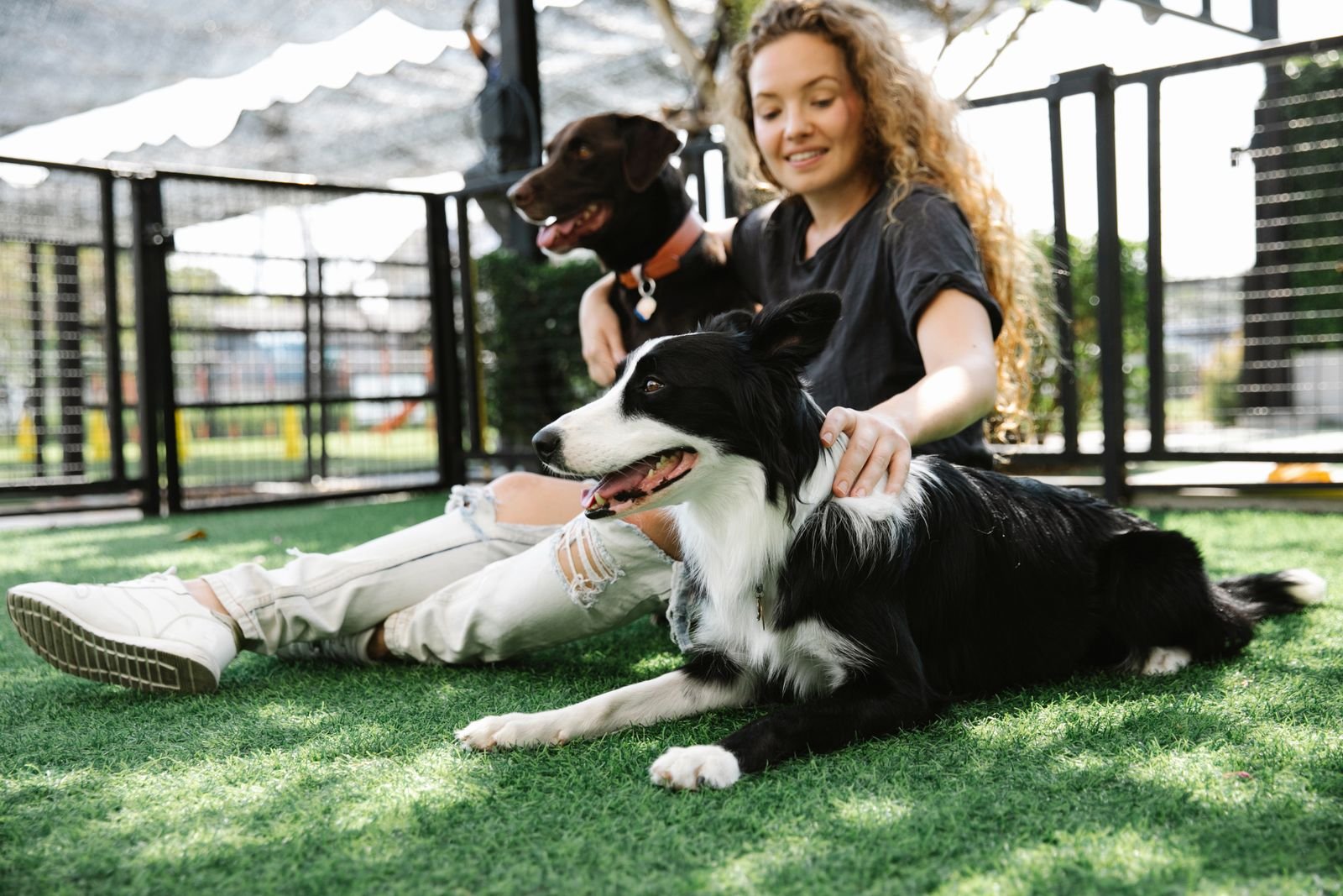 Veterinary supervised pet health care Marol Mumbai