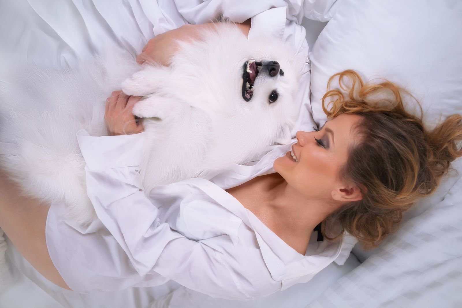 Pet taxi pickup and drop service Marol Mumbai