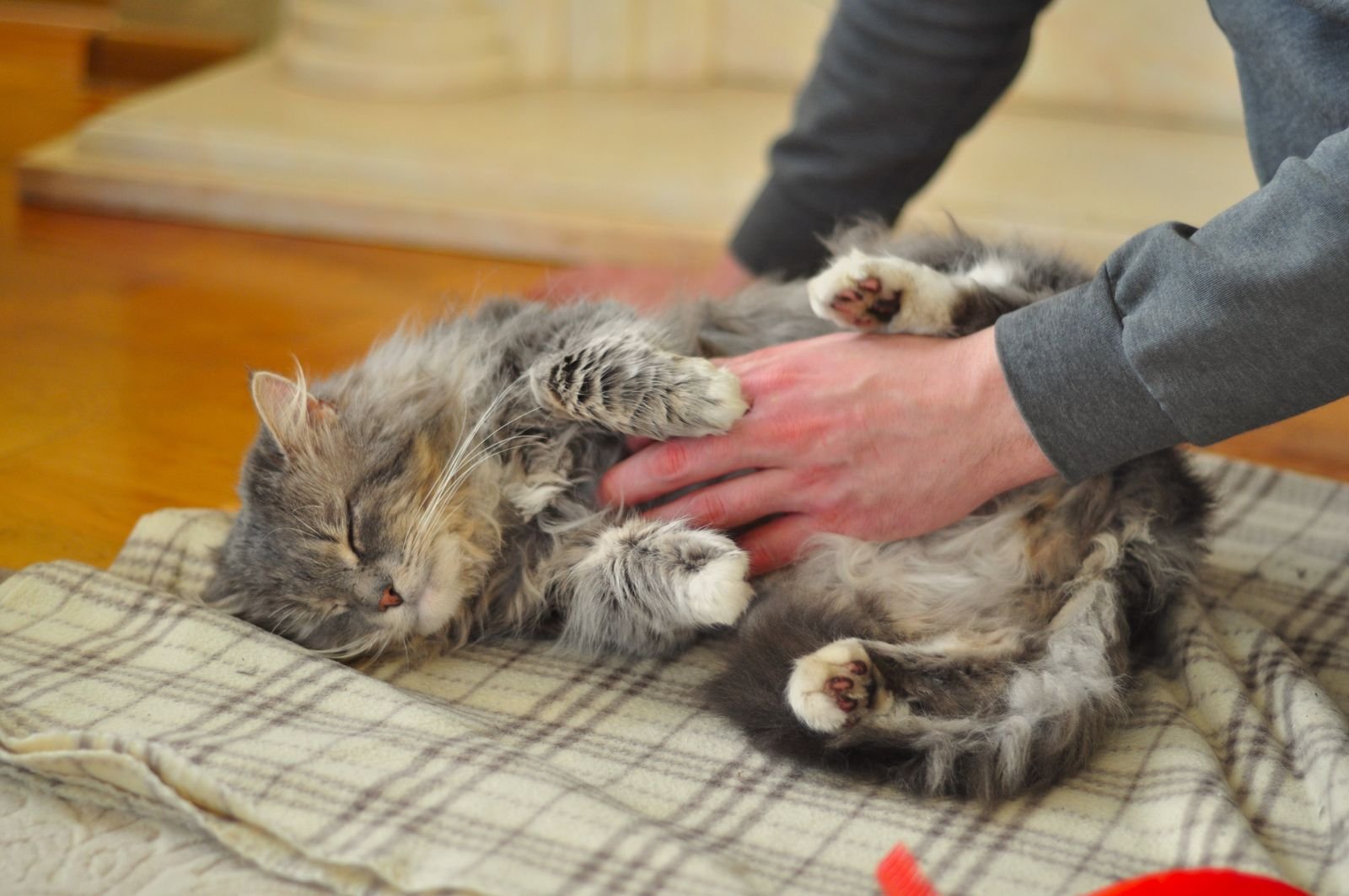 Hydrotherapy Massage