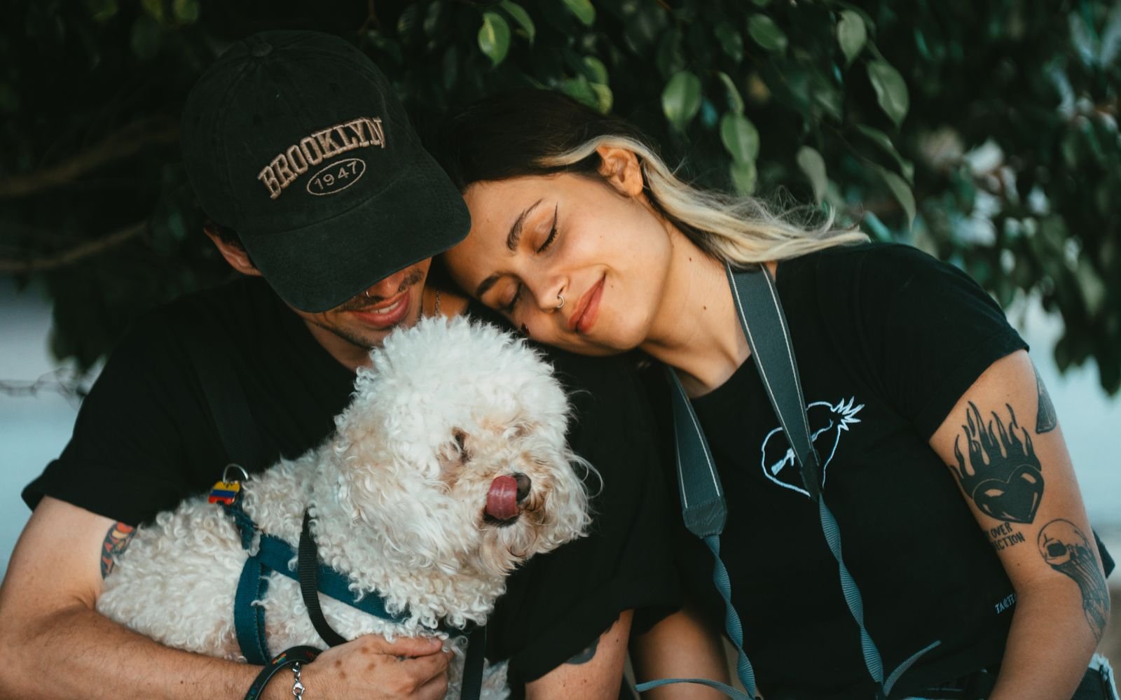 Pet Burial Services