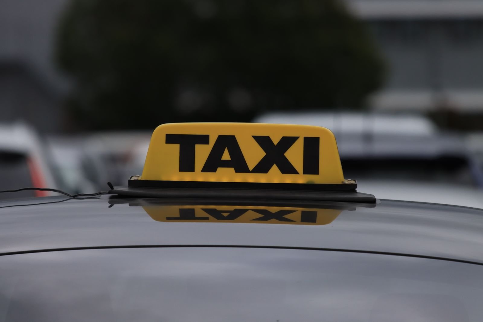 Vet visit pet taxi service in Dahanu Maharashtra