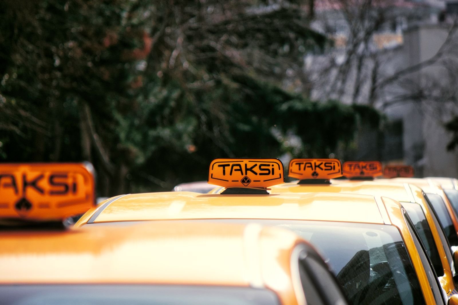 Pet taxi for weddings and events in Dahanu