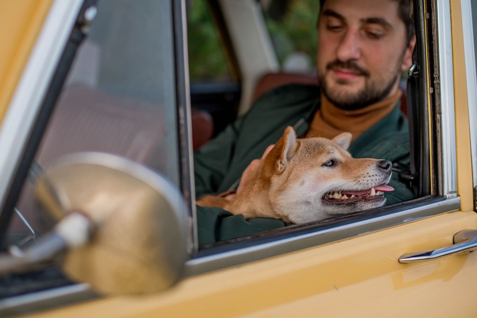 Airport Pet Pickup and Drop