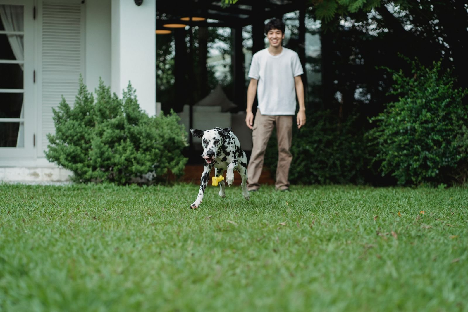 Pet Waste Composting Service