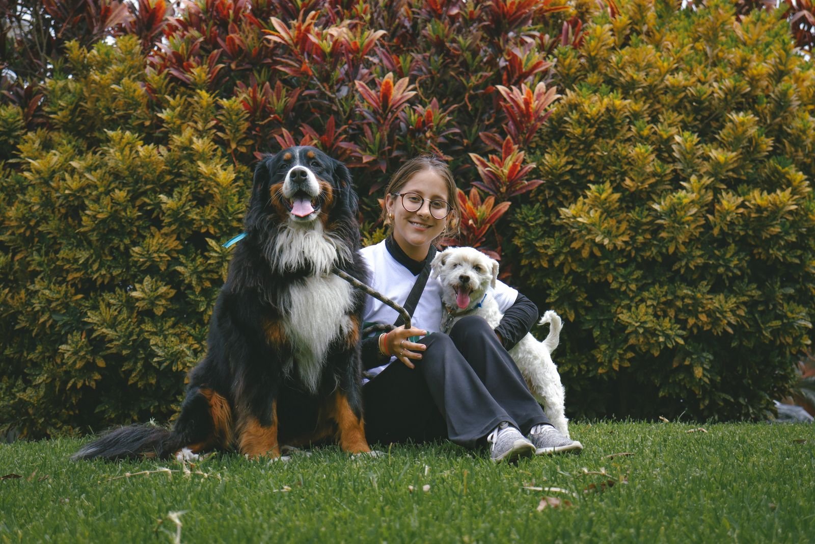 Emergency Pet Waste Cleanup Pune