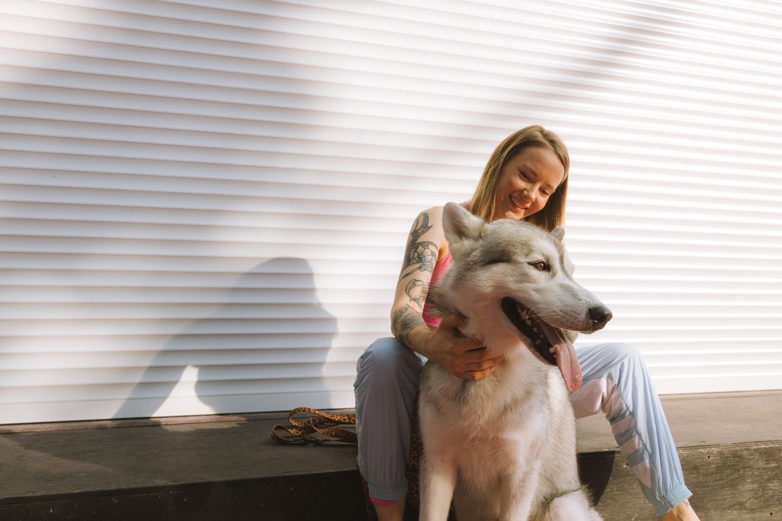 Pet sitting video Kamptee