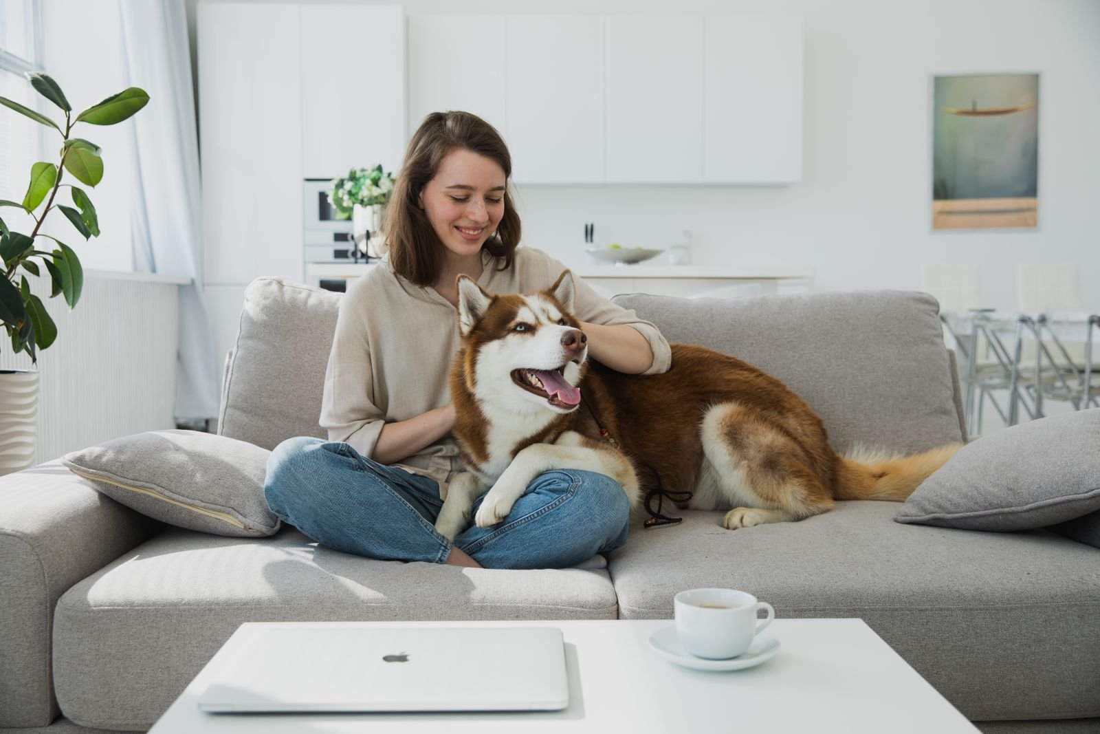 Cat Sitting Services Kamptee