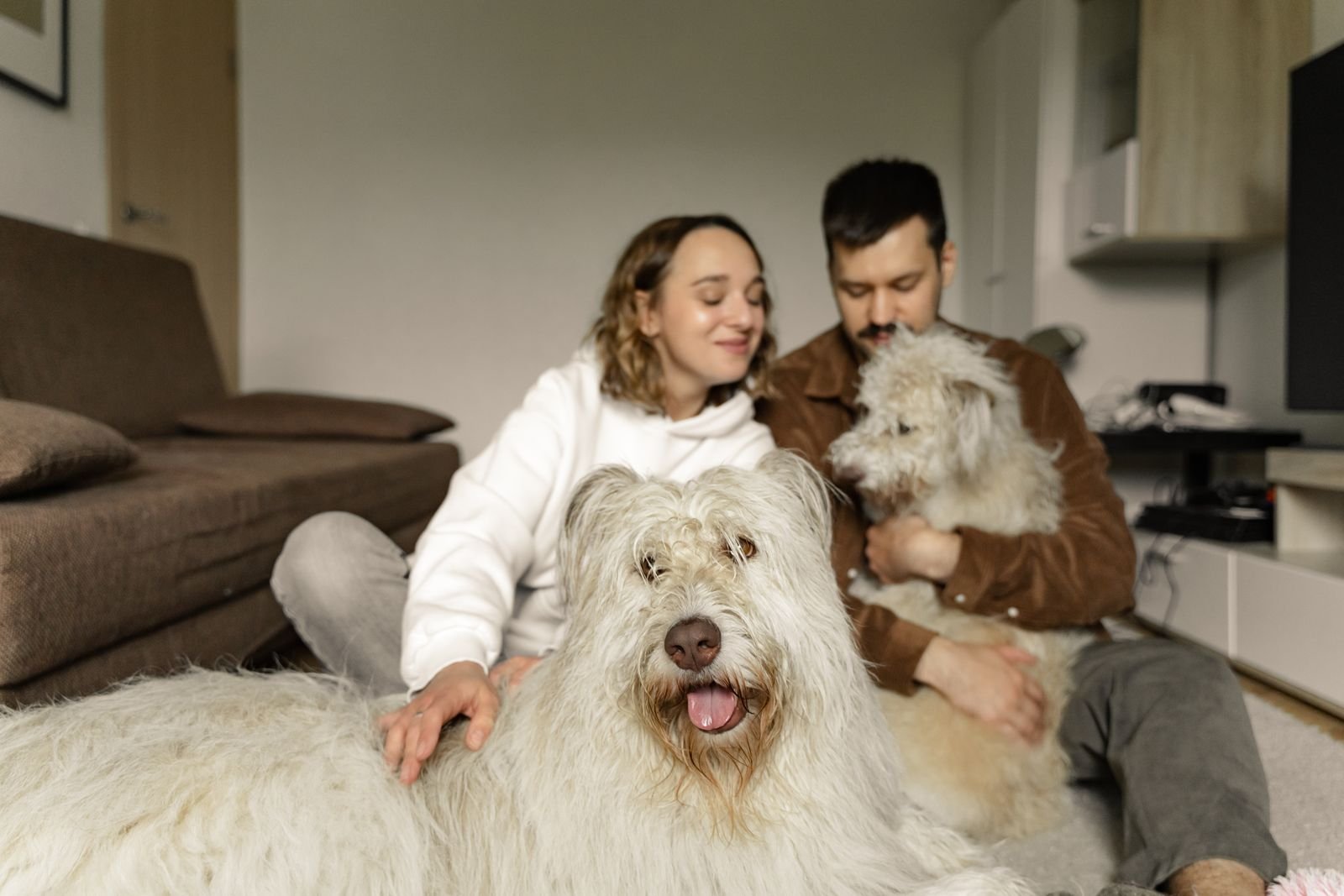 Pet Grooming Services Kamptee
