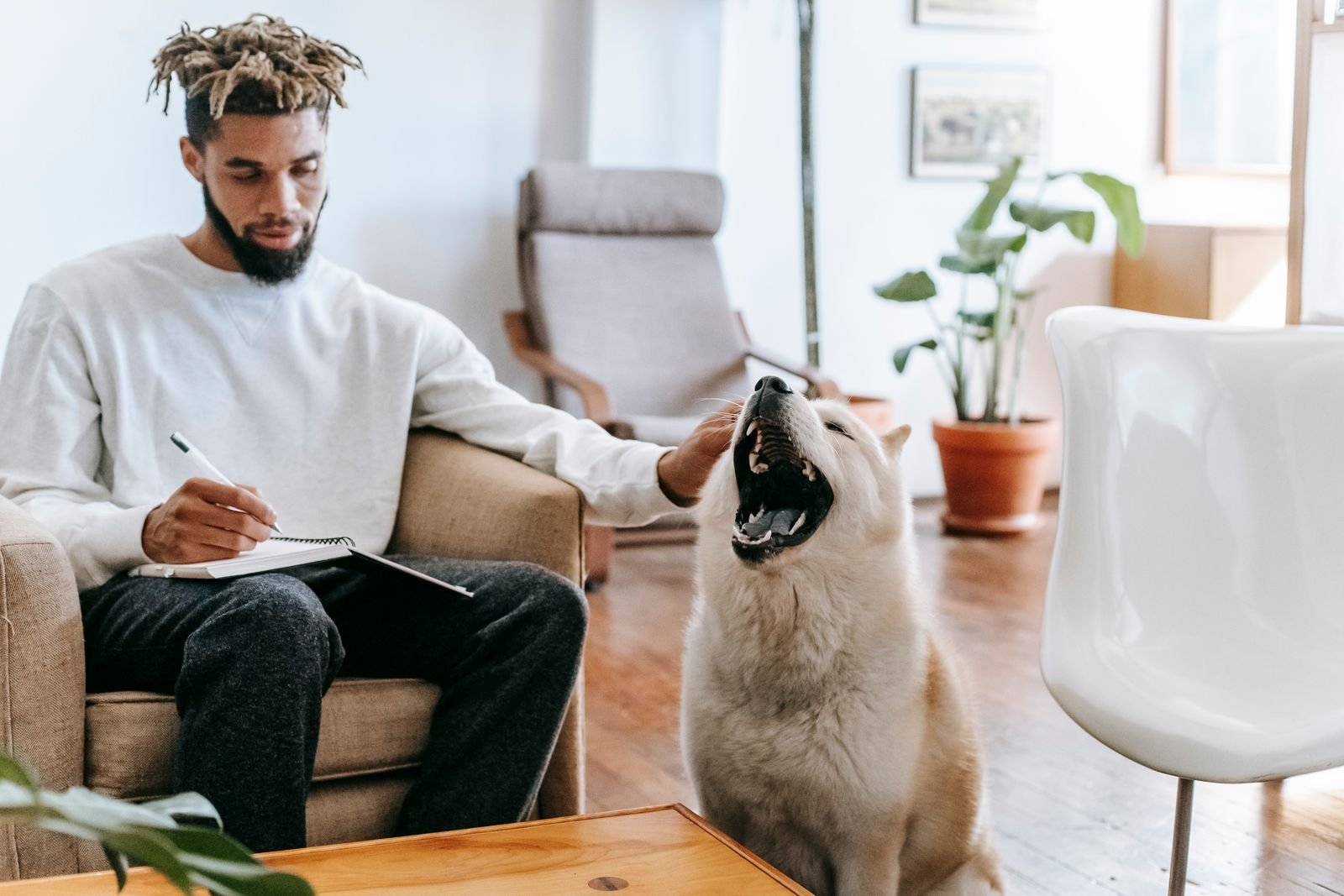 Pet Training Services Kamptee