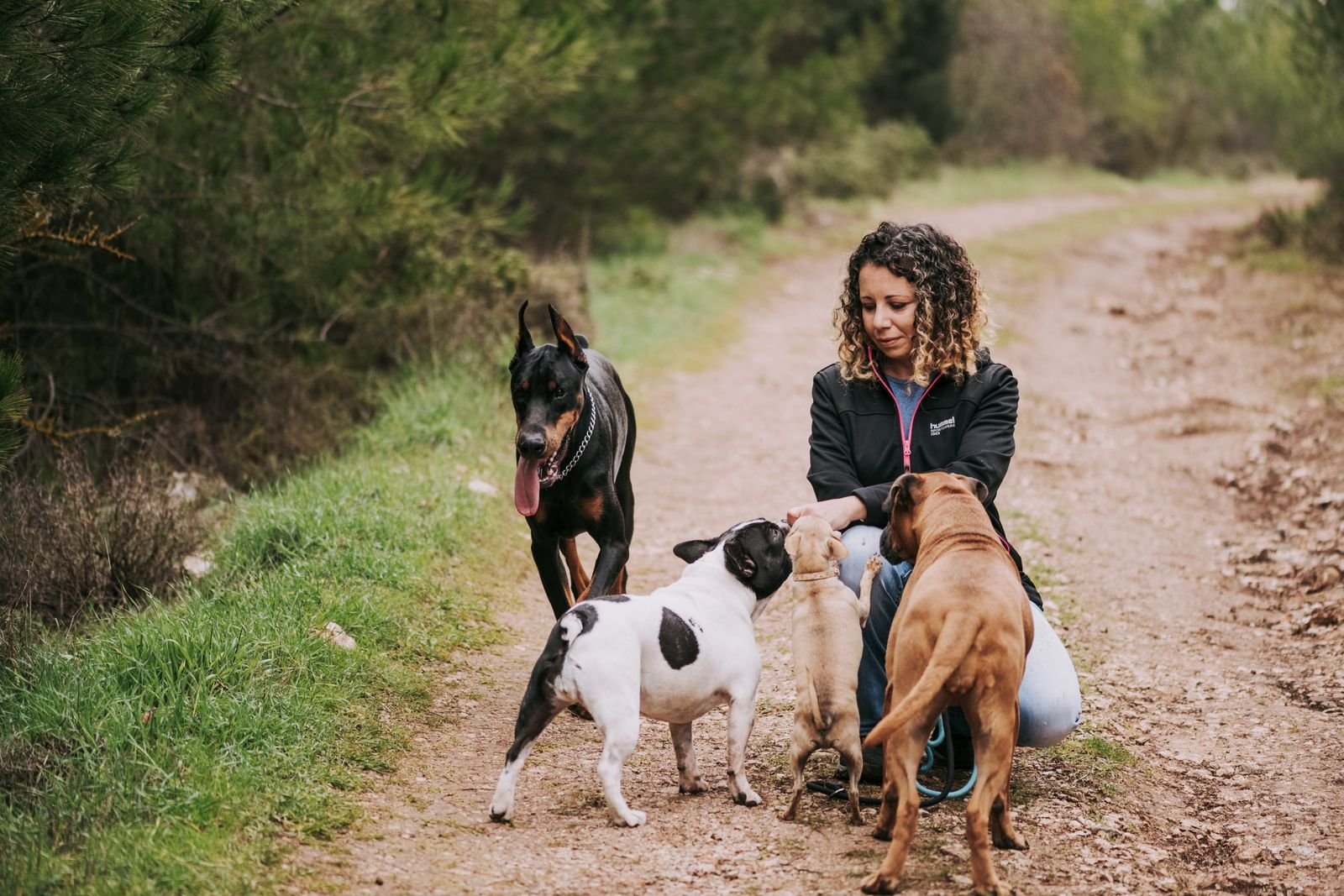 Senior Puppy Strolls Satara