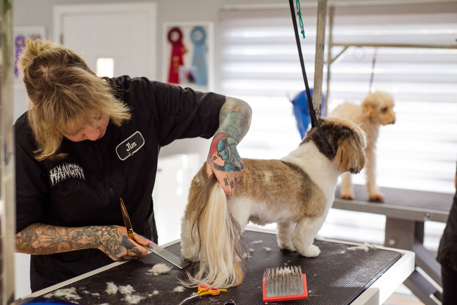 Luxury Pet Styling