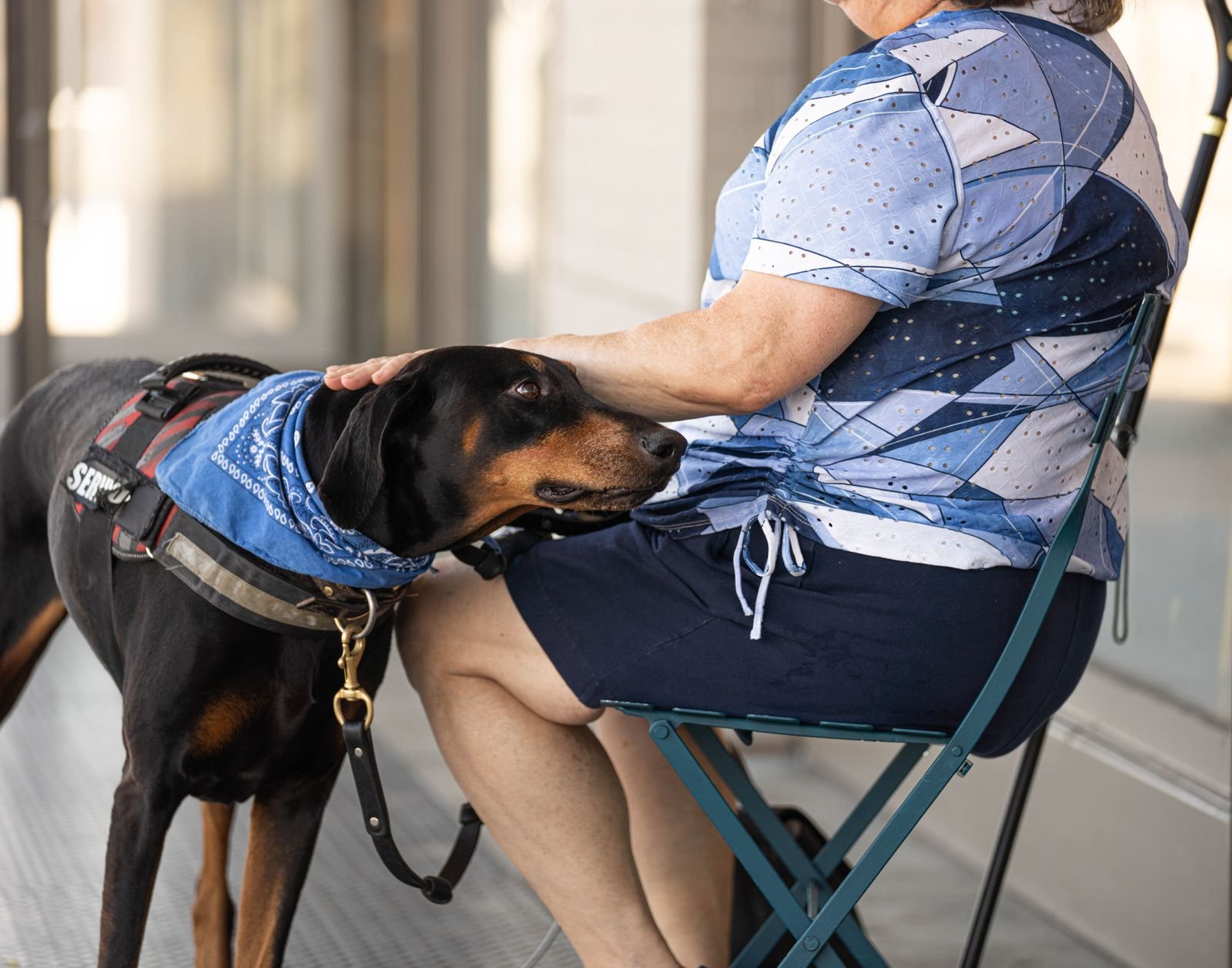 Certified Therapy Dog Programs - Mhalunge Ingale Pune