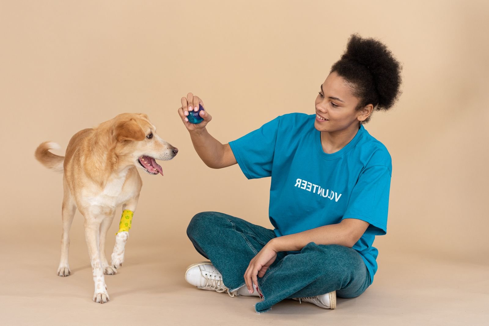 Emotional Support & PTSD Dog Training Pune