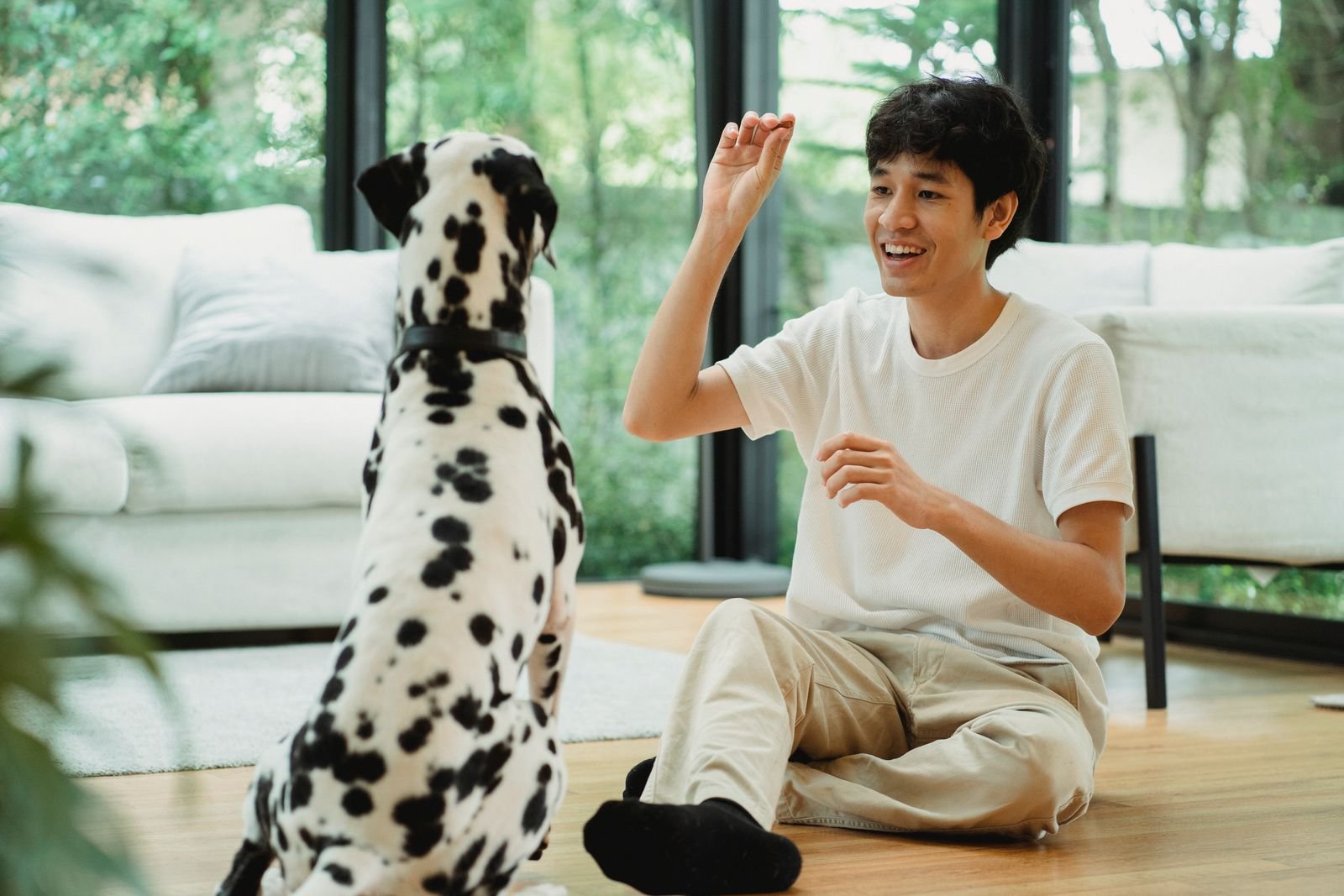 Special Needs Therapy Dog Training Pune