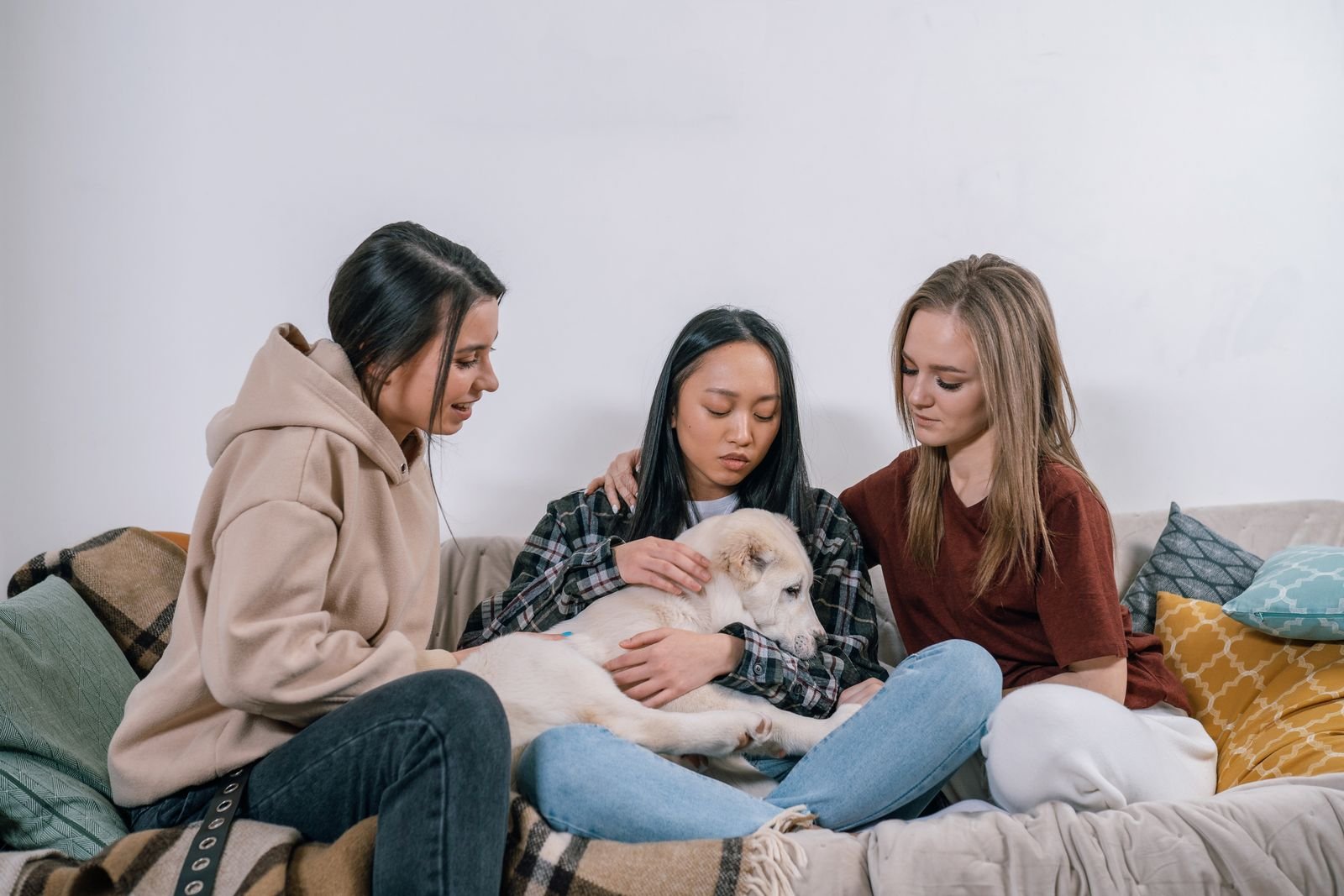 Group Therapy Dog Sessions in Pune