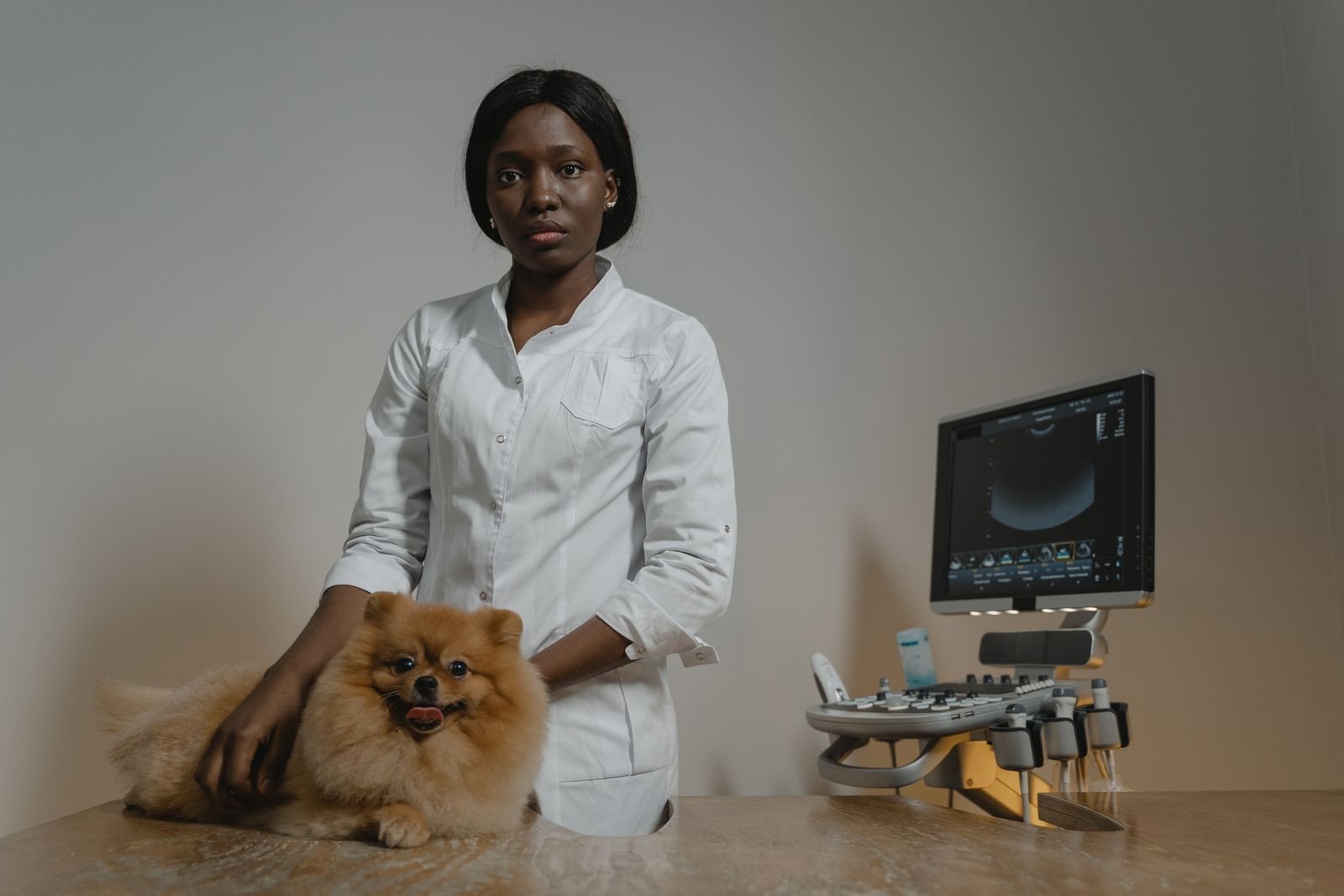 Veterinary Cardiology Services - Pet Heart Care Durg