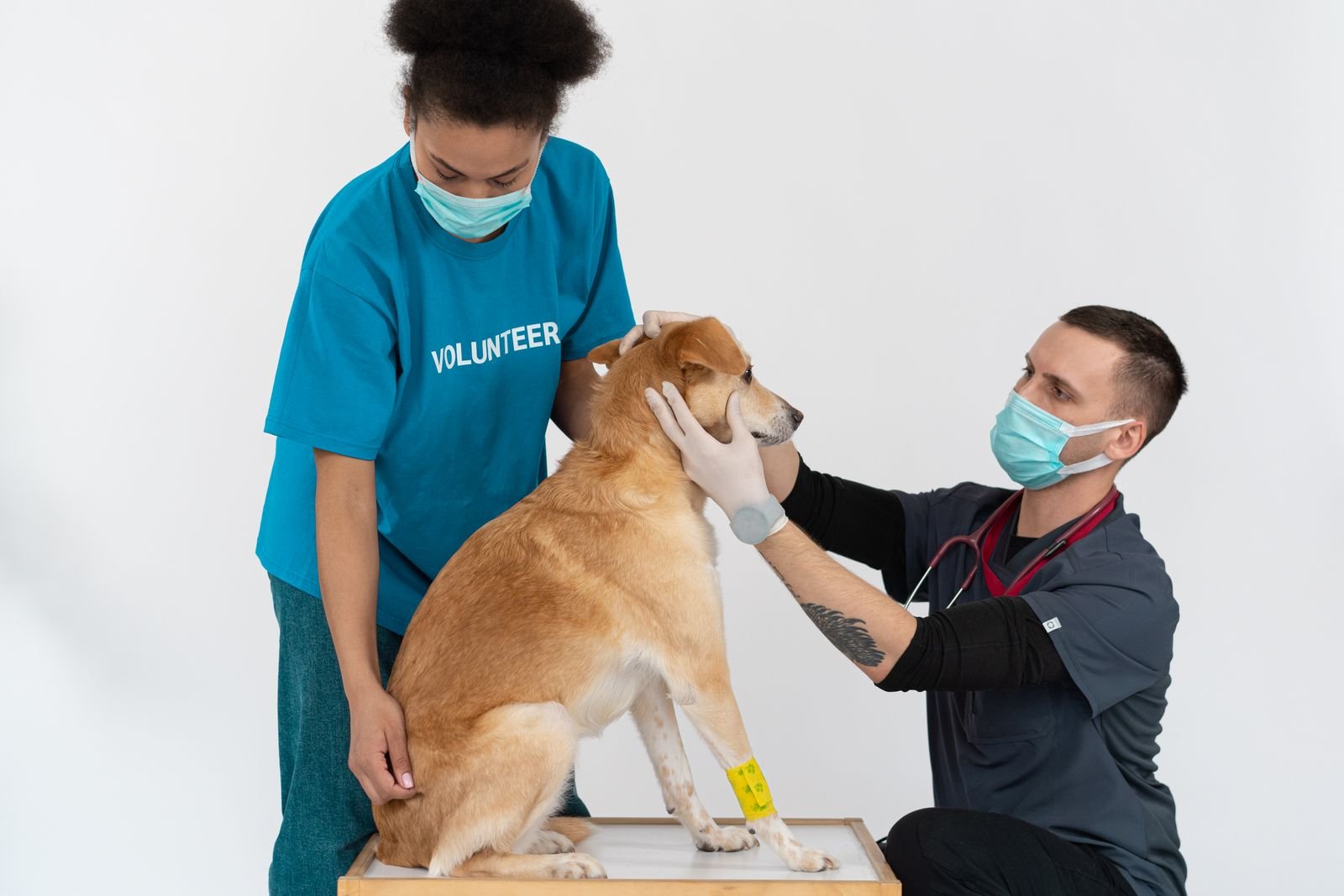 Pre-Anesthetic Cardiac Check Sillod