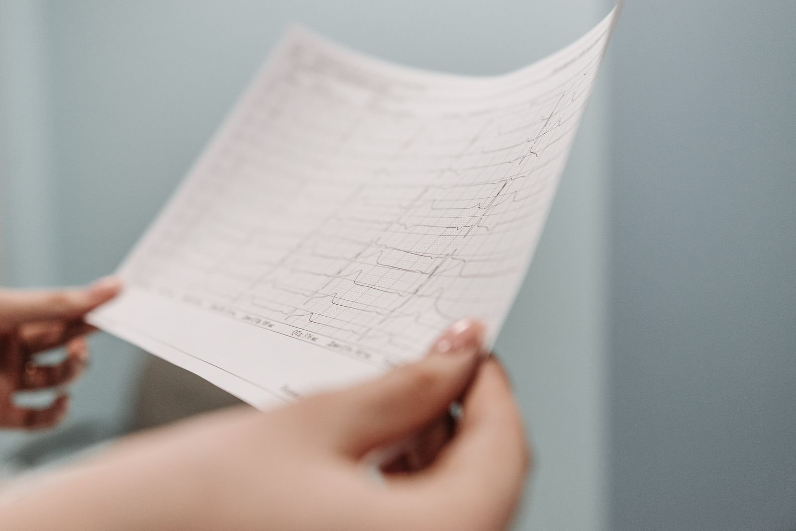 Veterinary Cardiology Consultation Sillod