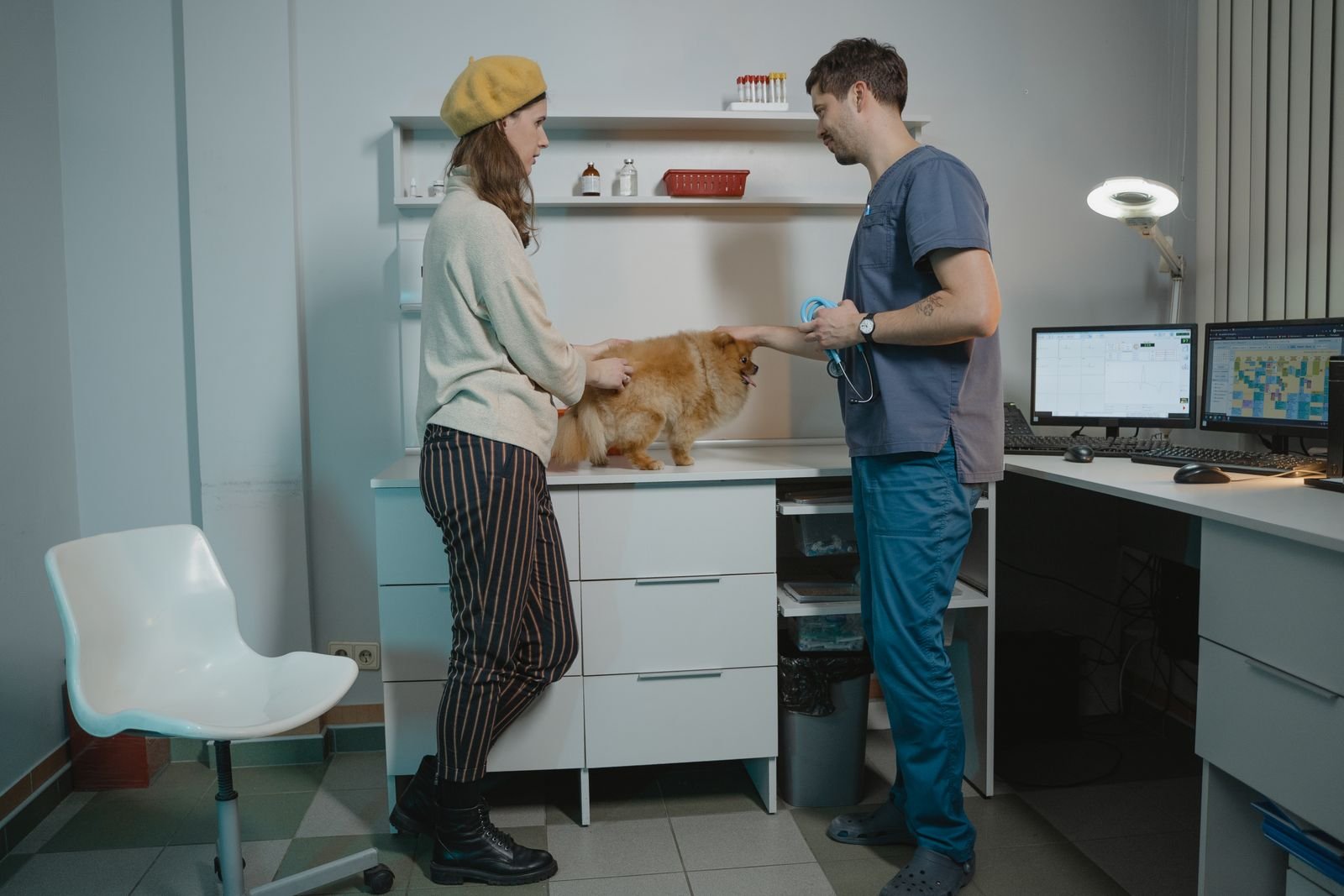 Digital Dental X-Ray for Veterinary
