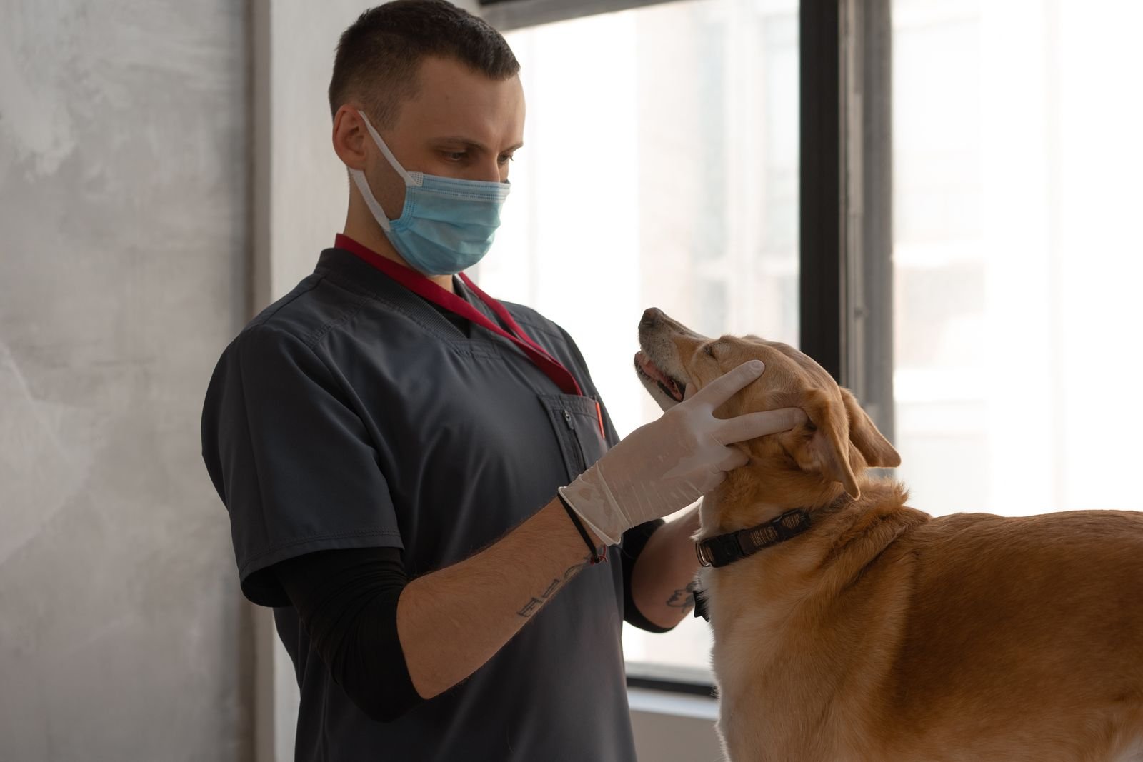 Skin Biopsy and Cytology Diagnostic Services