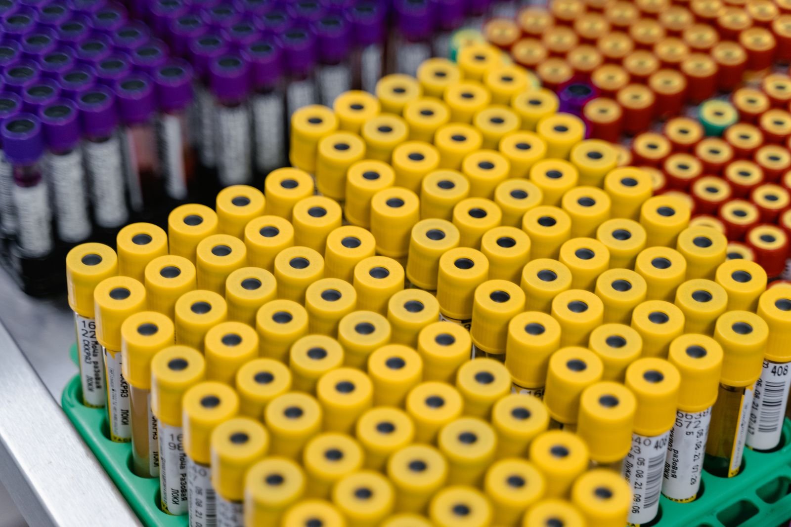 Histopathology and cytology laboratory services