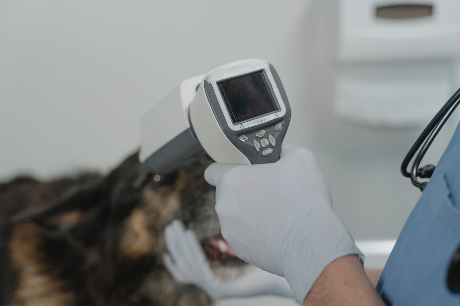 Emergency Veterinary Care in Kulti