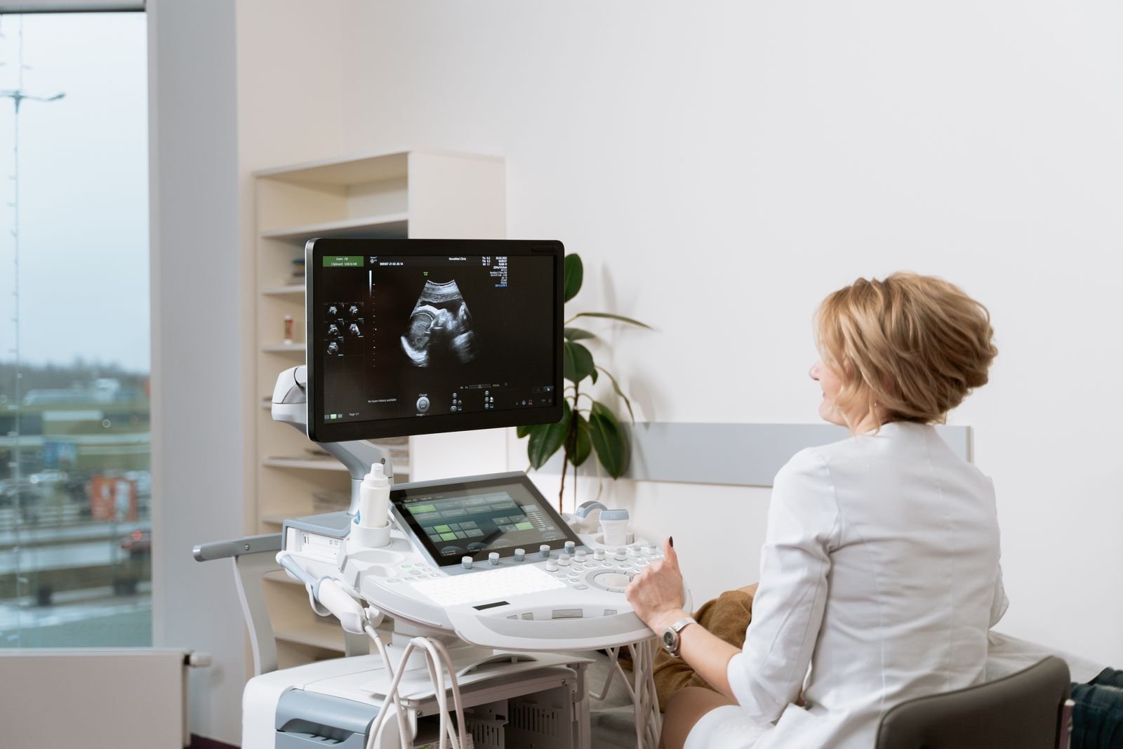 Pregnancy Scanning for Dogs and Cats